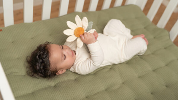 Rattle Flower Little Farm